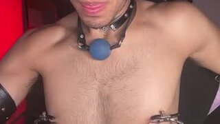 dark_rosse1
